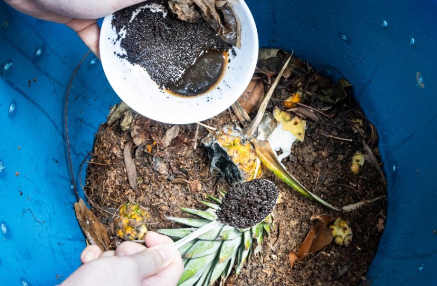 Can coffee grounds be composted? How do you go about it?