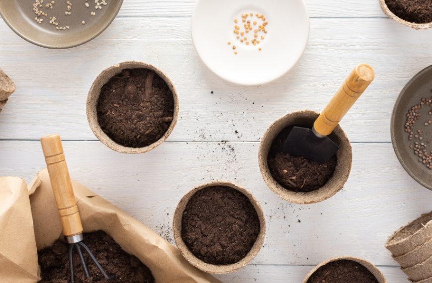 Astuces de jardinage : découvrez le terreau idéal pour une germination réussie de vos semis