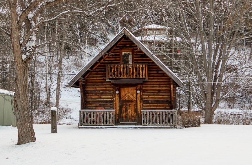 How to prevent damp in a garden shed?