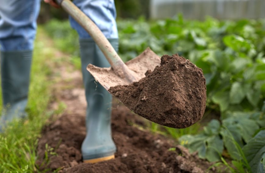 Astuces pour bêcher son jardin en hiver : l'importance de ce geste et les meilleures techniques pour le réaliser