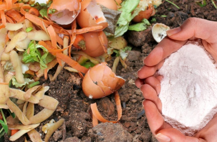 Découverte étonnante : comment le bicarbonate de soude peut révolutionner votre compost