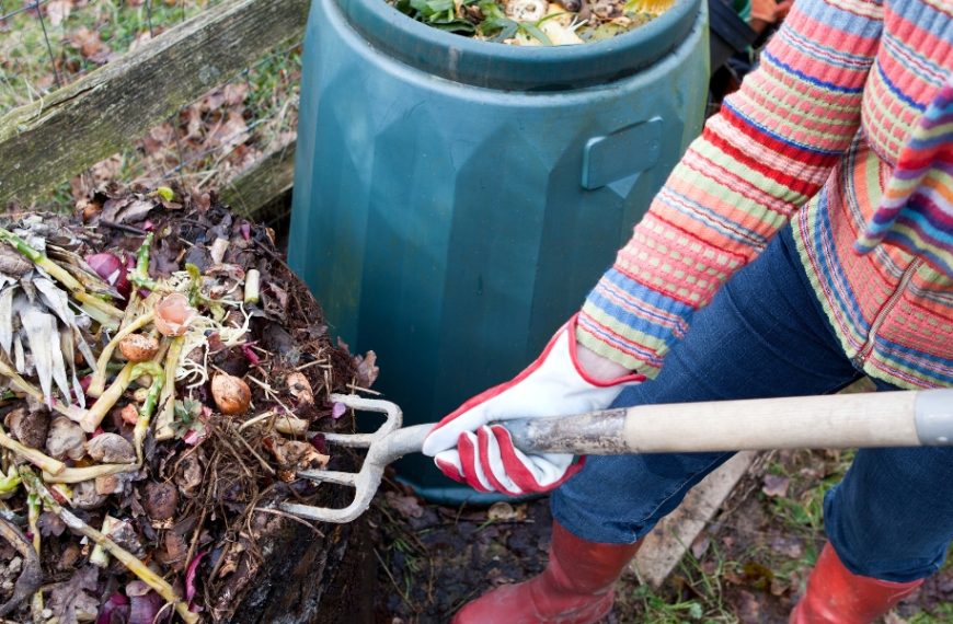 Compost or sort your organic waste: what will you really have to do in 2024?