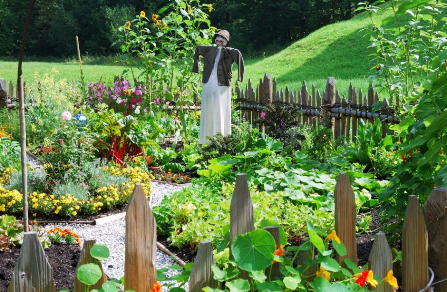 Astuces de jardinier  les meilleures activités au verger en février