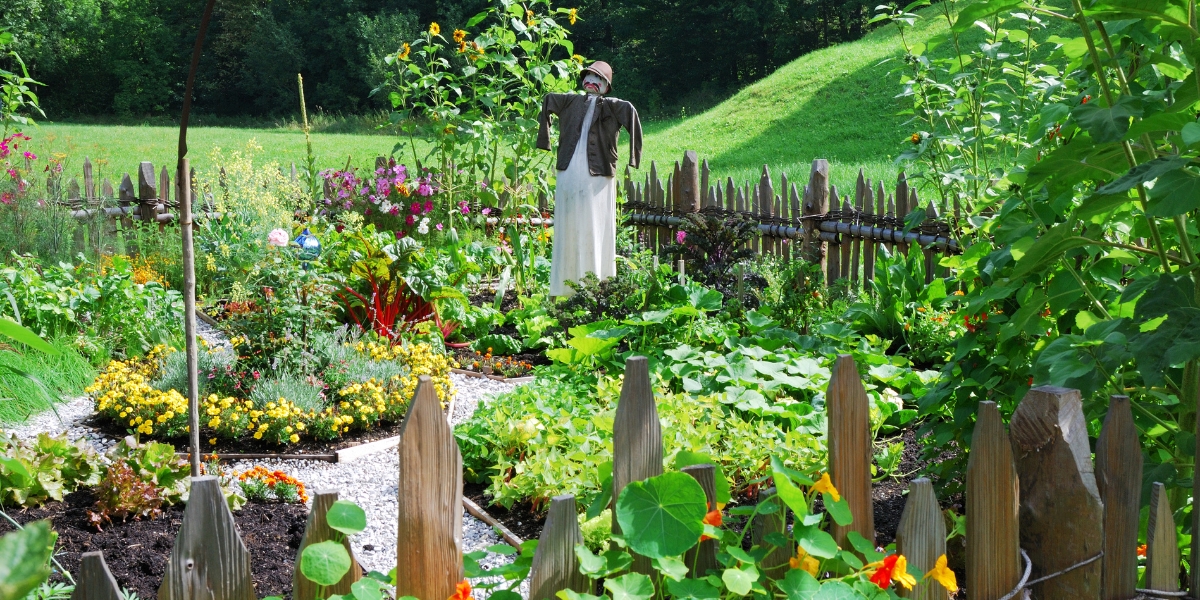 Astuces de jardinier  les meilleures activités au verger en février