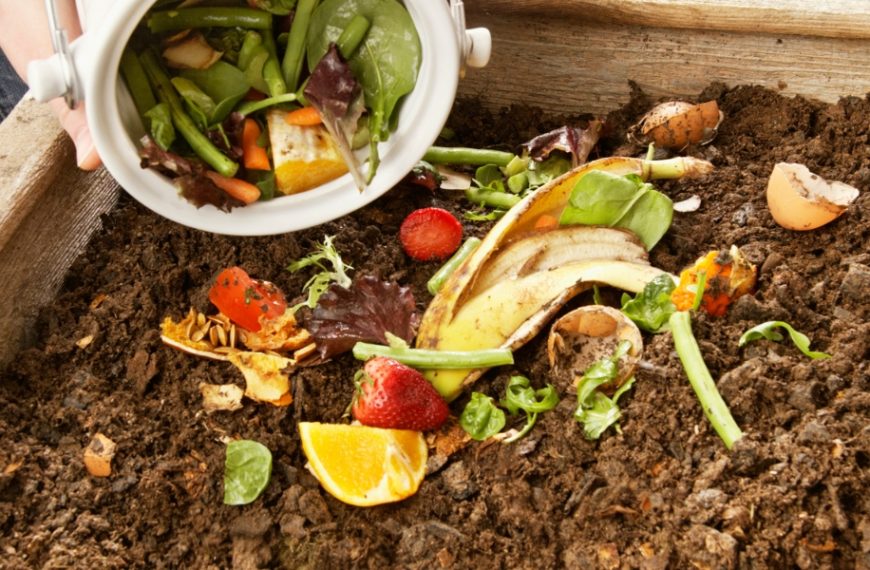 Gardening tips: Exclude waste from your compost for a flourishing garden