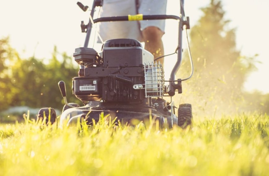 Comment redonner vie à une pelouse facilement ? Nos bons conseils pratiques !