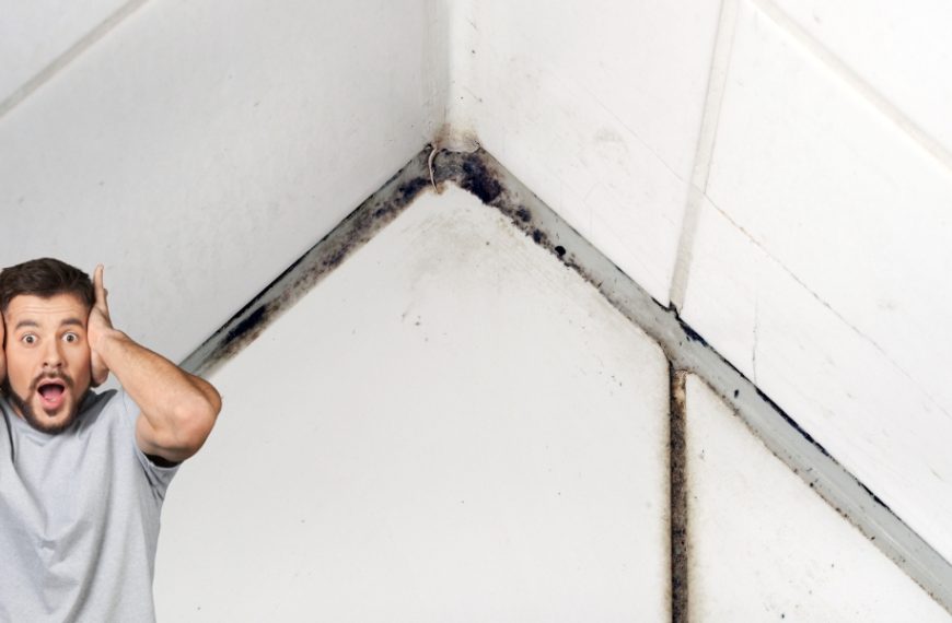 Comment vaincre l'humidité dans votre salle de bain : les meilleures astuces pour une déshumidification simple et efficace