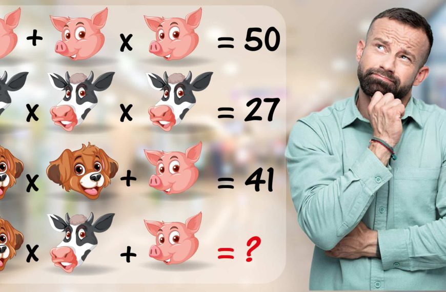 IQ test: are you perceptive enough to find out the value of animals in less than 60 seconds?