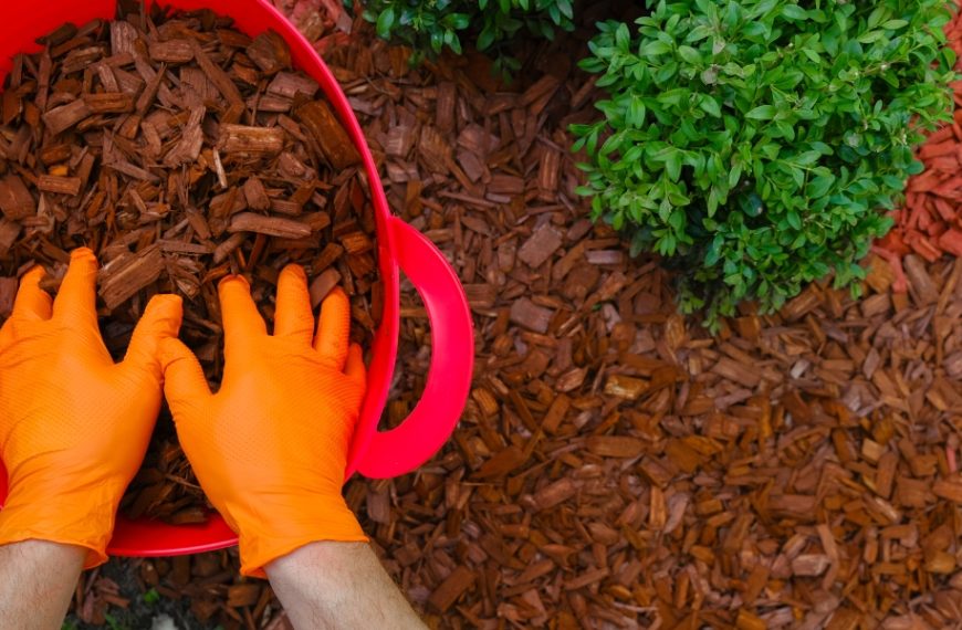 Maximisez la protection de votre jardin en hiver : découvrez les astuces essentielles pour un paillage réussi