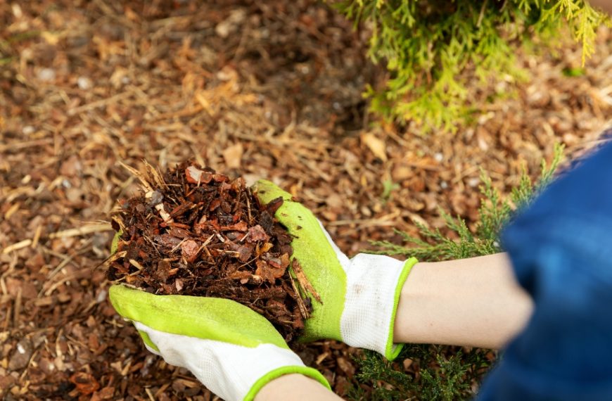Réussir son paillage cet hiver : voici les erreurs à éviter à tout prix !