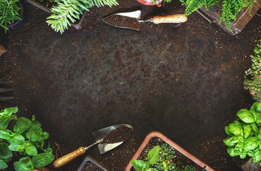 Astuces pour optimiser votre jardinage avec le calendrier lunaire 2024 !