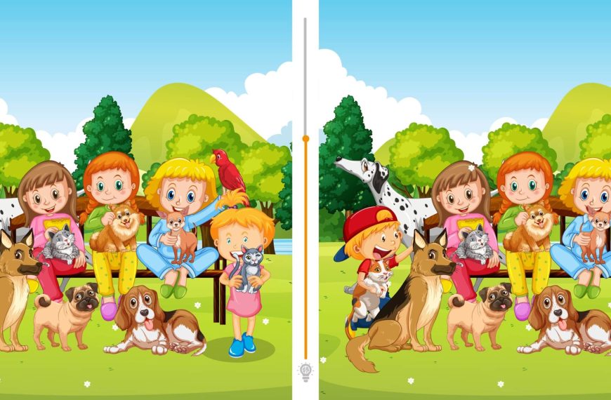 Défi visuel : Trouvez les 6 différences cachées entre ces deux images ! Un challenge captivant à relever en moins de 25 secondes !