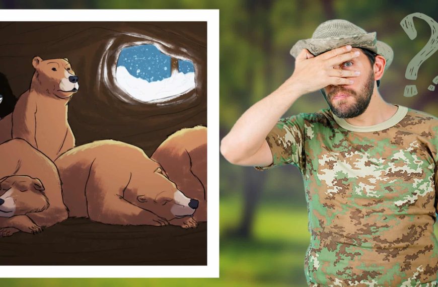 Visual test: find the hidden detail in this image and reveal your exceptional visual skills!