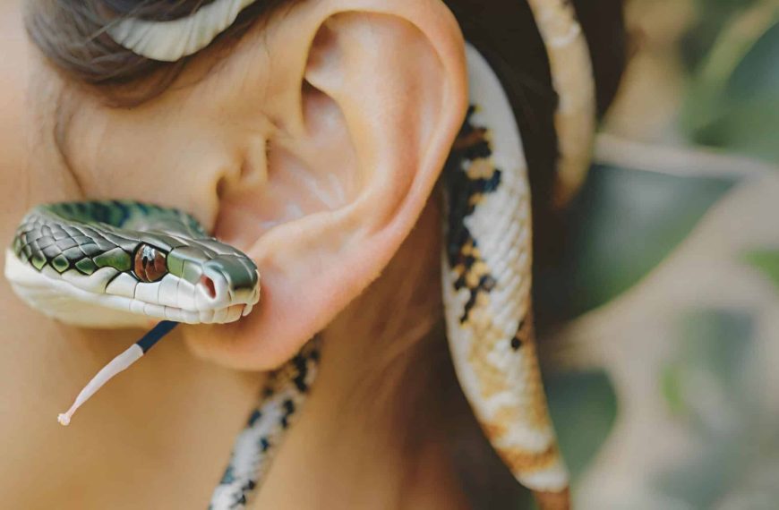 Personality test: Snake or ear? An answer to your character that’s sure to surprise you.