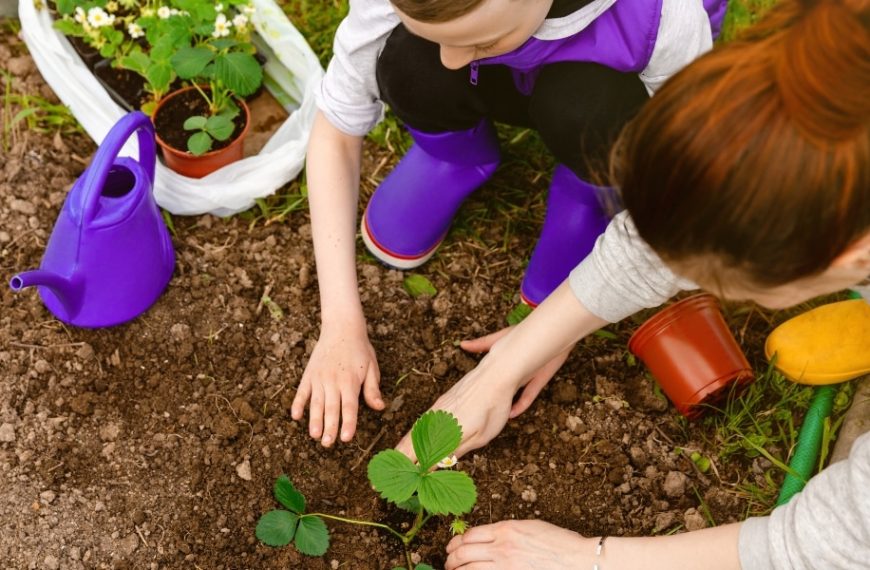 Conseils pratiques : quelles plantes éviter de planter près de vos fraisiers