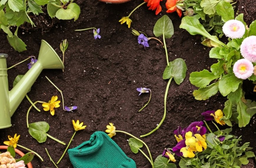 Astuces pour réussir les plantations du mois de mars au jardin !