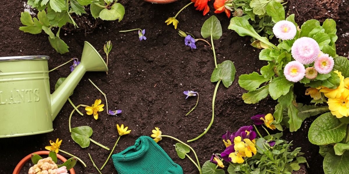 Astuces pour réussir les plantations du mois de mars au jardin !