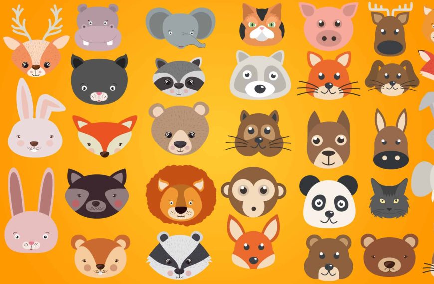 Visual test: Identify all the cats! Only the most intelligent people will pass this test.