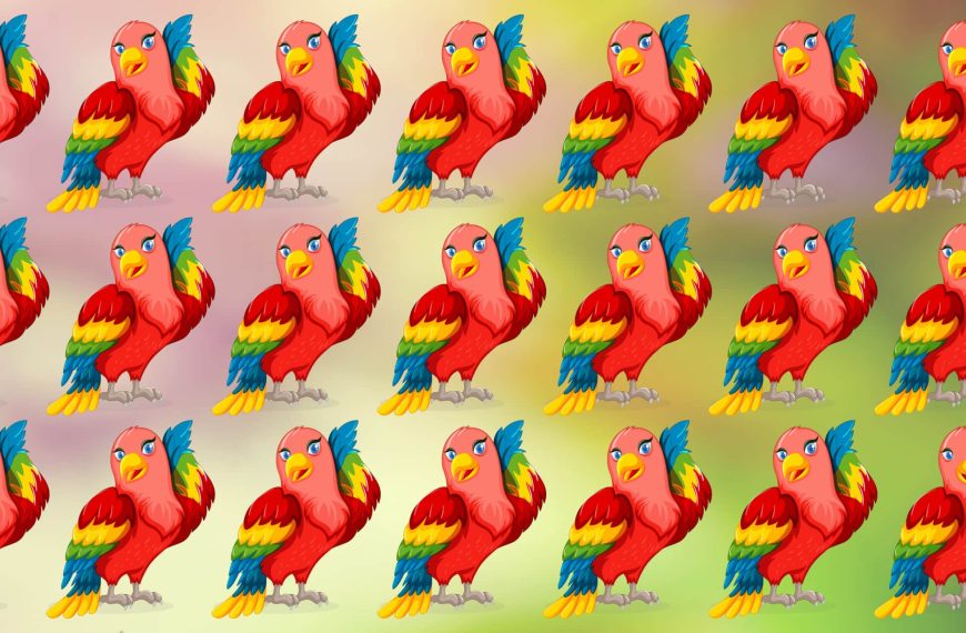 Visual test: Test your agility by identifying the different parrot in less than 30 seconds!