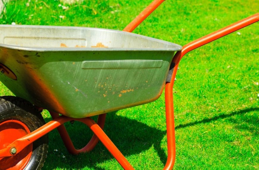 Pourquoi ajouter du sable dans votre jardin ? Conseils pratiques pour optimiser les bienfaits sur votre pelouse