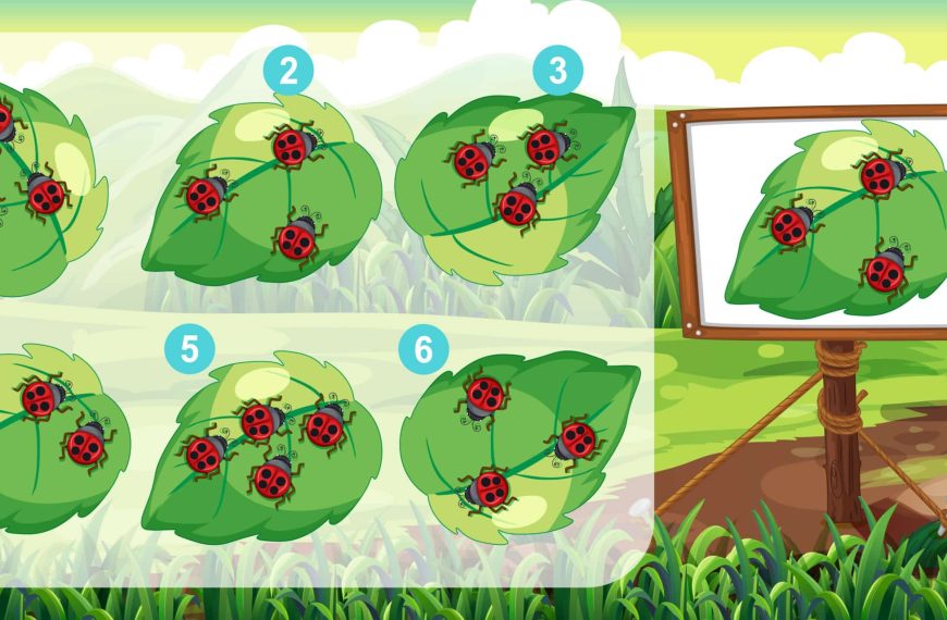 Brain teaser: find out which of these sheets is identical to the example in 10 seconds.