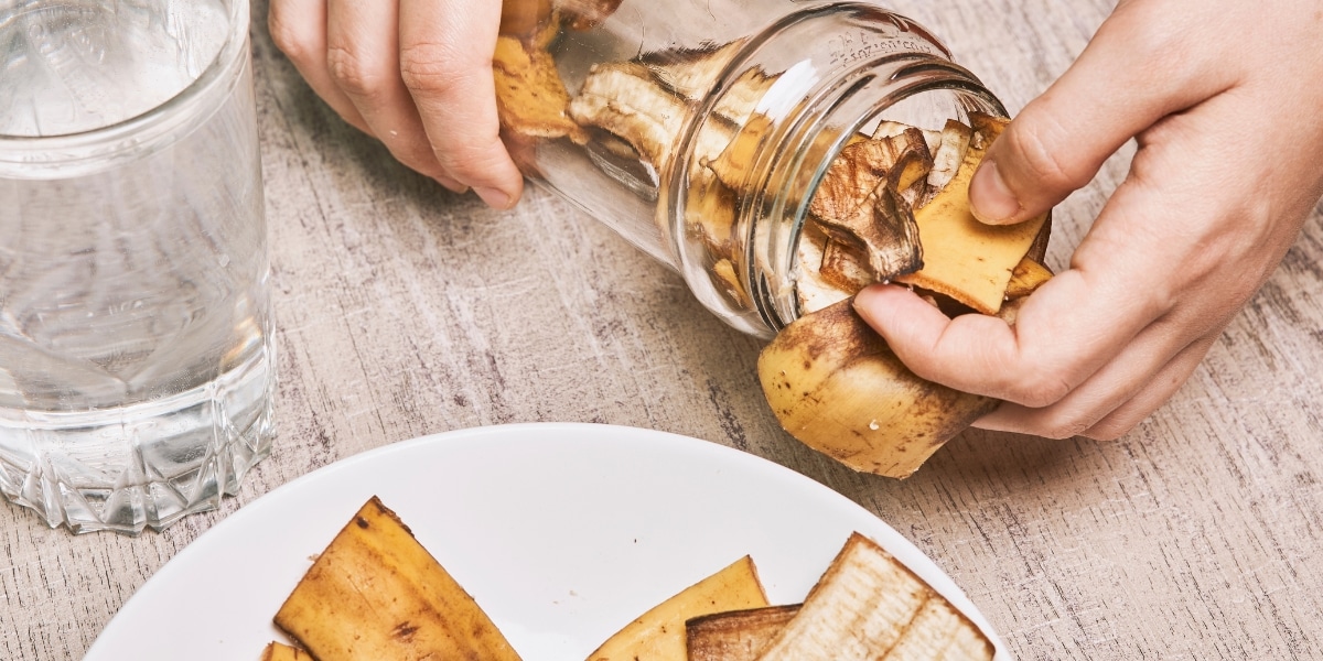 Cultivate a lush garden with banana puree: your natural ally for healthy plants