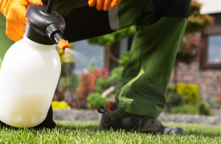 Découvrez comment réaliser un désherbant maison efficace avec du bicarbonate de soude et d'autres ingrédients naturels !