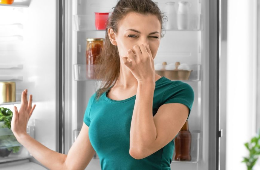 Découvrez nos astuces pratiques pour neutraliser les odeurs de frigo avec du bicarbonate de soude !