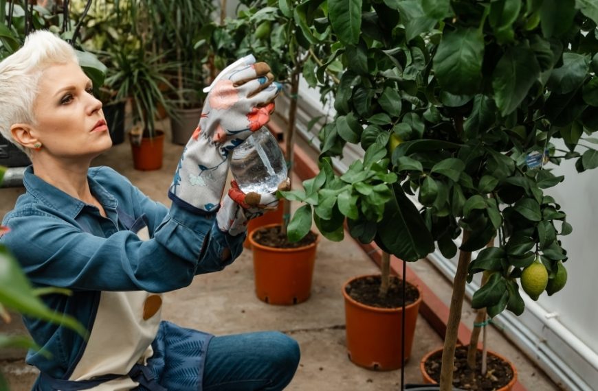 Les 4 mauvaises habitudes à éviter absolument pour préserver vos plantes selon les dernières tendances en jardinage !