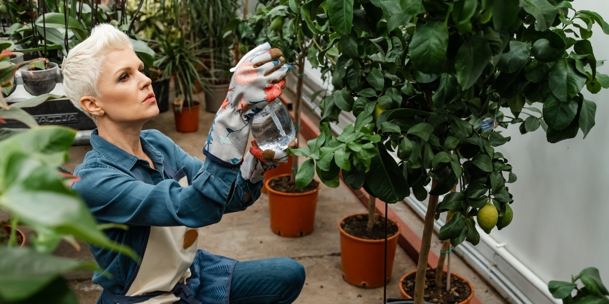 Les 4 mauvaises habitudes à éviter absolument pour préserver vos plantes selon les dernières tendances en jardinage !