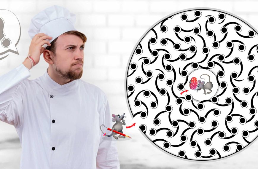 Visual riddle: can you help the mouse find its friend’s path in under 15 seconds?