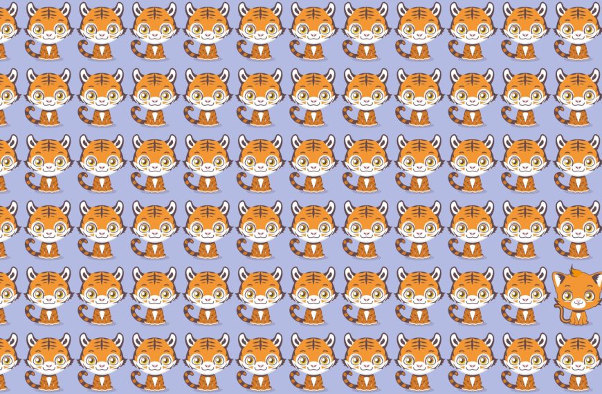 Visual test: An intruder is hiding among these tigers. Can you identify him in under 10 seconds?
