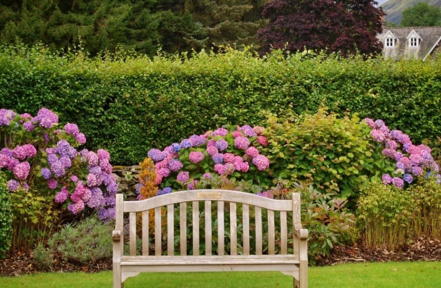 Choose the best shrubs to create an impenetrable defensive hedge!
