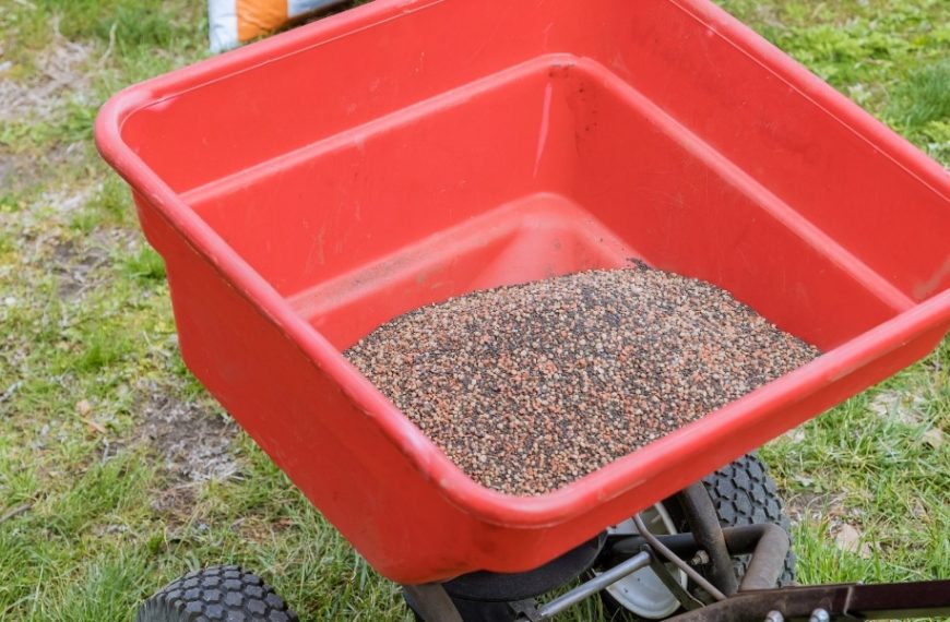 How do you choose the best time to sow your lawn?