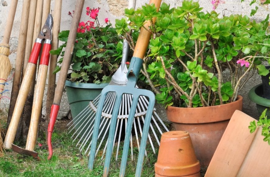 Comment bien nettoyer et entretenir vos outils de jardin ?