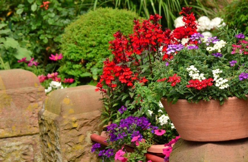 Our tips for finding the perfect shade flower to grace your garden all summer long!