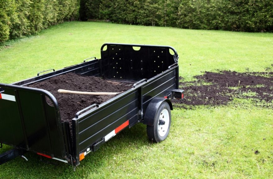 Practical tips for preparing your lawn before sowing it!