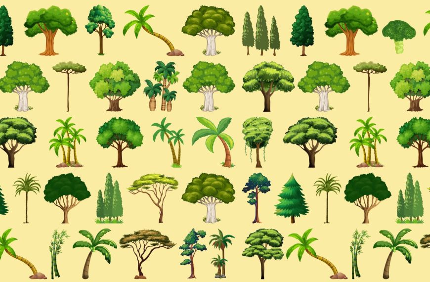 Visual challenge: test your sense of detail by spotting the foreign element hidden among the trees in under 20 seconds!