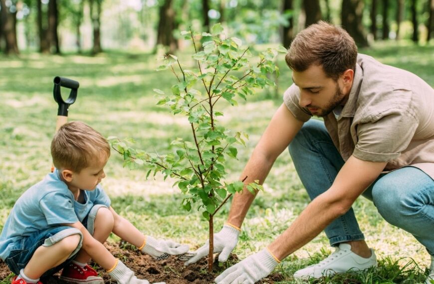 Arbres fruitiers à planter en juin : 3 inspirations exotiques rien que pour vous