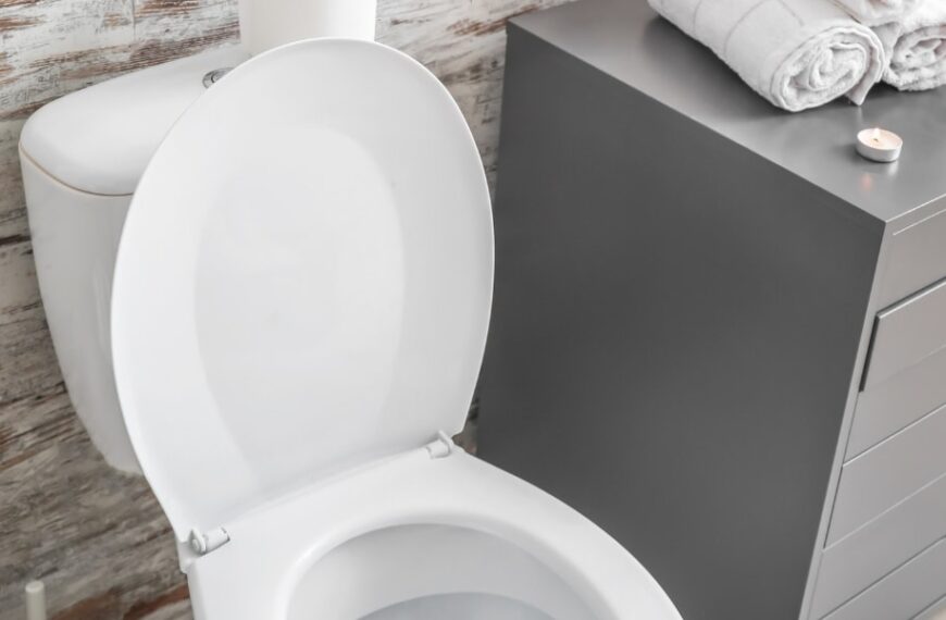 Comment venir à bout des vers blancs dans les toilettes avec des solutions naturelles ? Découvrez 5 astuces et remèdes maison efficaces