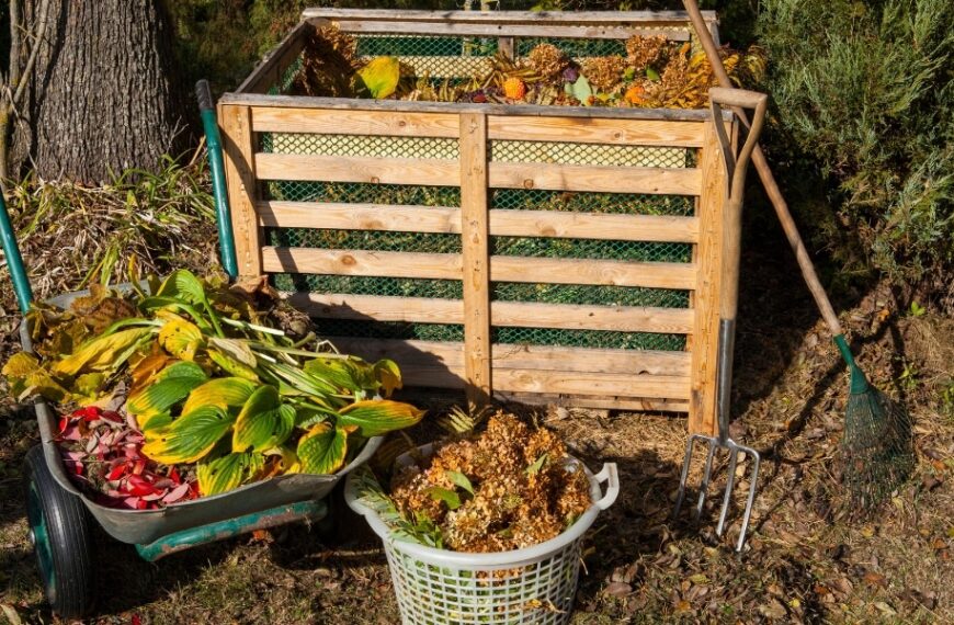 Comment entretenir le compost en été : 4 astuces essentielles pour réussir son compostage malgré la chaleur