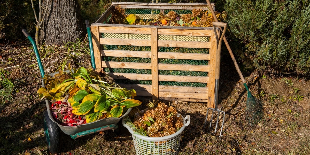Comment entretenir le compost en été : 4 astuces essentielles pour réussir son compostage malgré la chaleur
