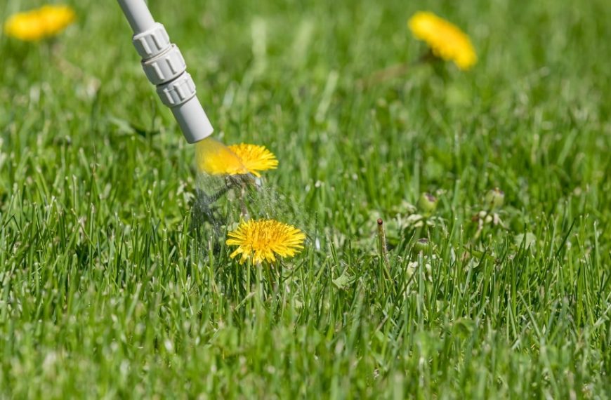 How to make a natural homemade herbicide for a weed-free garden?