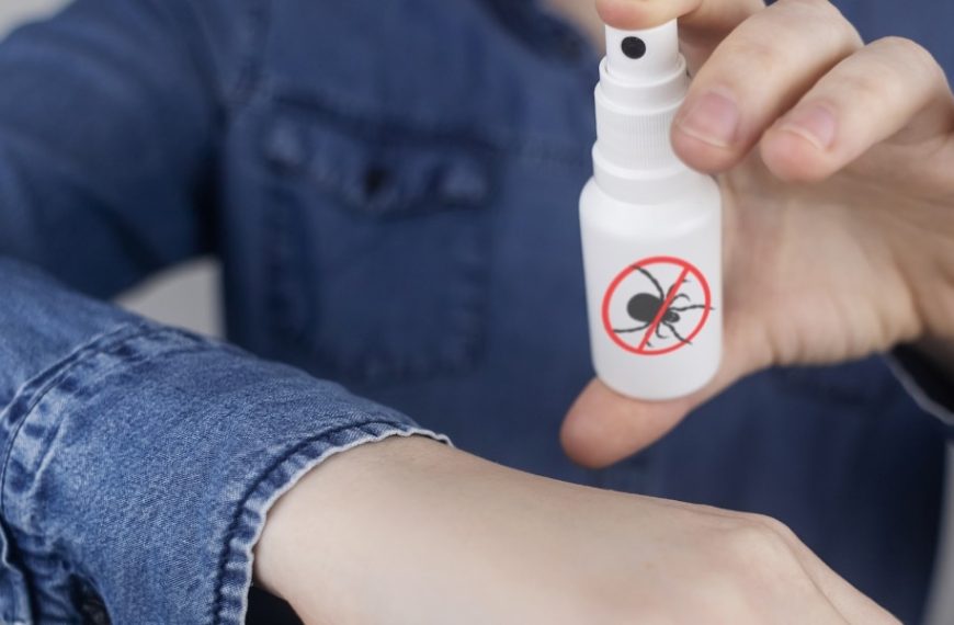 Comment utiliser le vinaigre pour éloigner les insectes au printemps ?