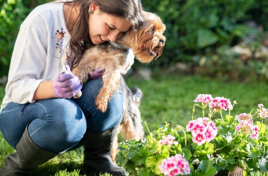 Practical tips for your garden: summer activities not to be missed