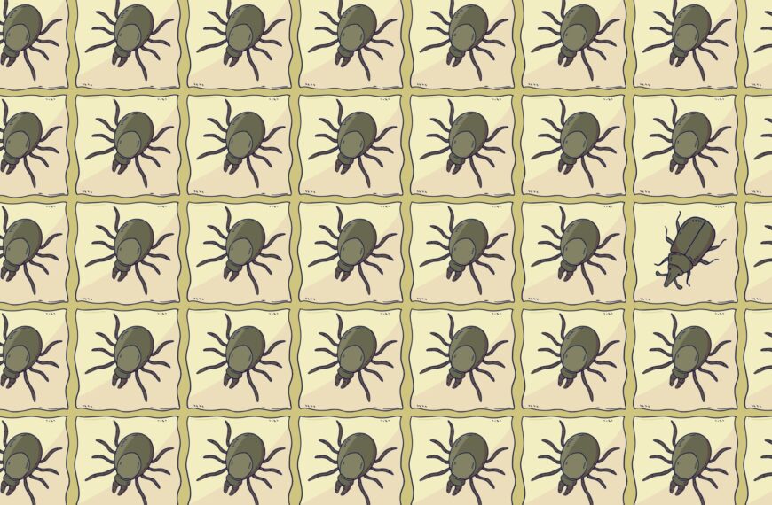 Visual challenge: can you spot the intruder in under 25 seconds?