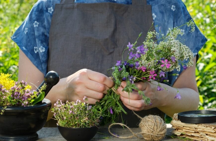 5 medicinal plants to grow at home this year: discover the best ones