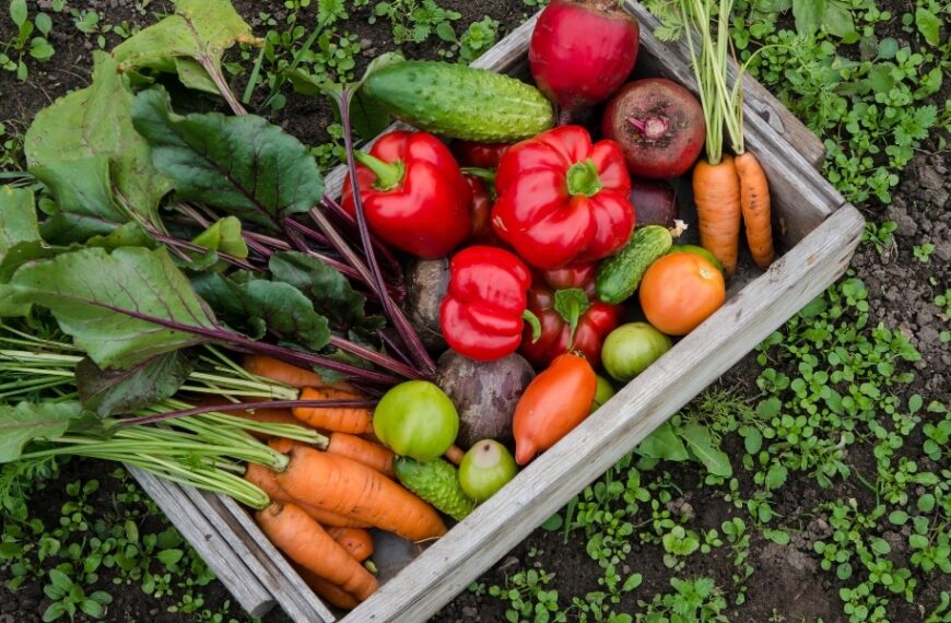 Cultivate sustainability: 7 perpetual vegetables for a vegetable garden that lasts, our gardening tips