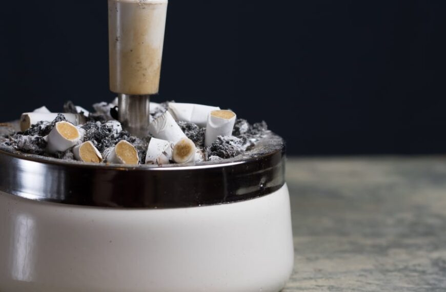 Découvrez la plante miracle qui élimine les odeurs de tabac de votre maison pour toujours !