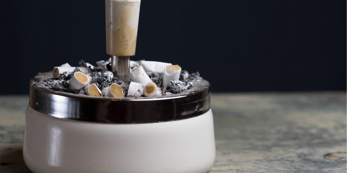 Découvrez la plante miracle qui élimine les odeurs de tabac de votre maison pour toujours !